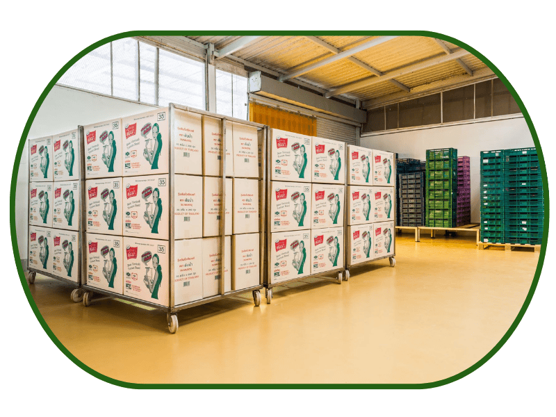 วุ้นเส้นจากถั่วเขียว